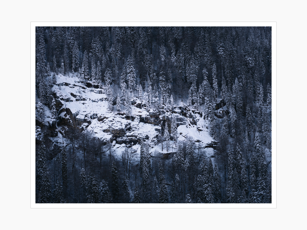 Max Schiefele Alle Bilder  DSF4222